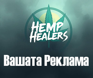 HempHealers News